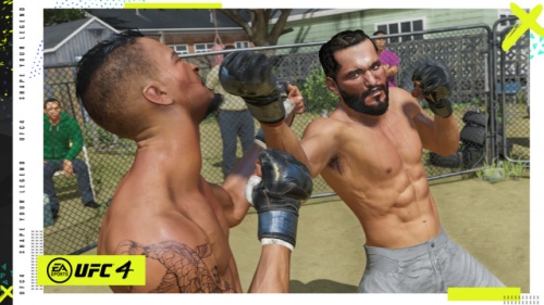 UFC 4 [PLAYSTATION 4]