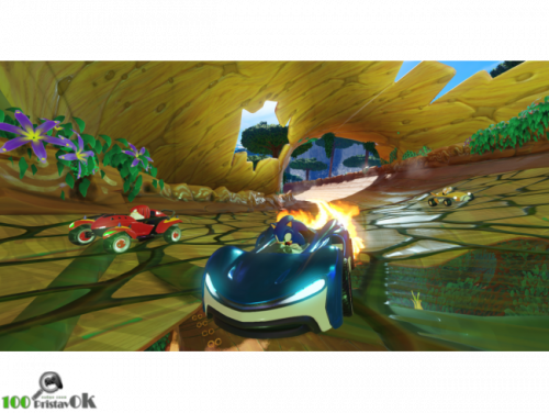 Team Sonic Racing[PLAYSTATION 4]